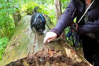 Hundeschule Marion Hartmann, Welpen, Welpenschule