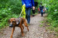 Hundeschule Marion Hartmann, Welpen, Welpenschule