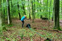 Hundeschule Marion Hartmann, Welpen, Welpenschule