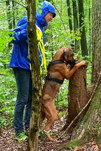 Hundeschule Marion Hartmann, Welpen, Welpenschule