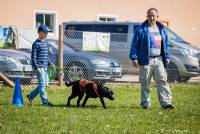 Hundeschule Marion Hartmann, Junghunde Training