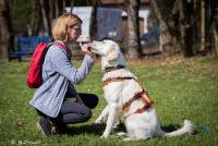 Hundeschule Marion Hartmann, Junghunde Training